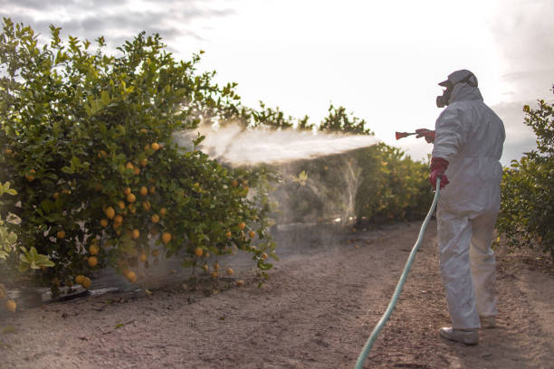 Best Exterminator Services  in Celina, TN