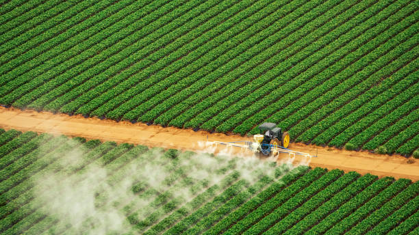 Best Affordable Exterminators  in Celina, TN