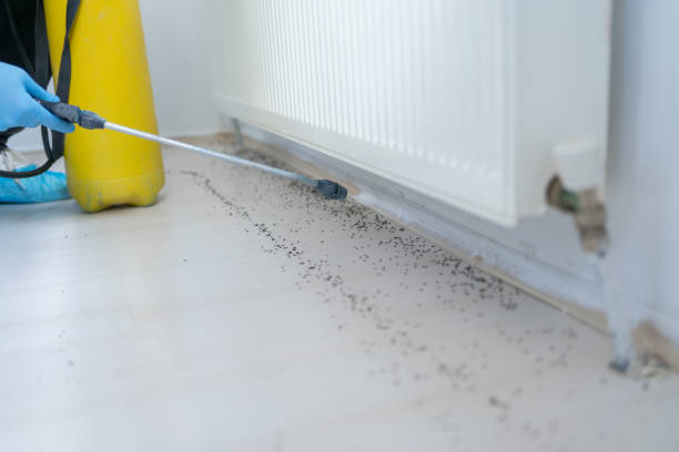 Best Bed Bug Extermination  in Celina, TN