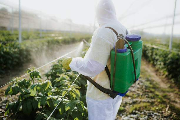 Best Residential Pest Control  in Celina, TN